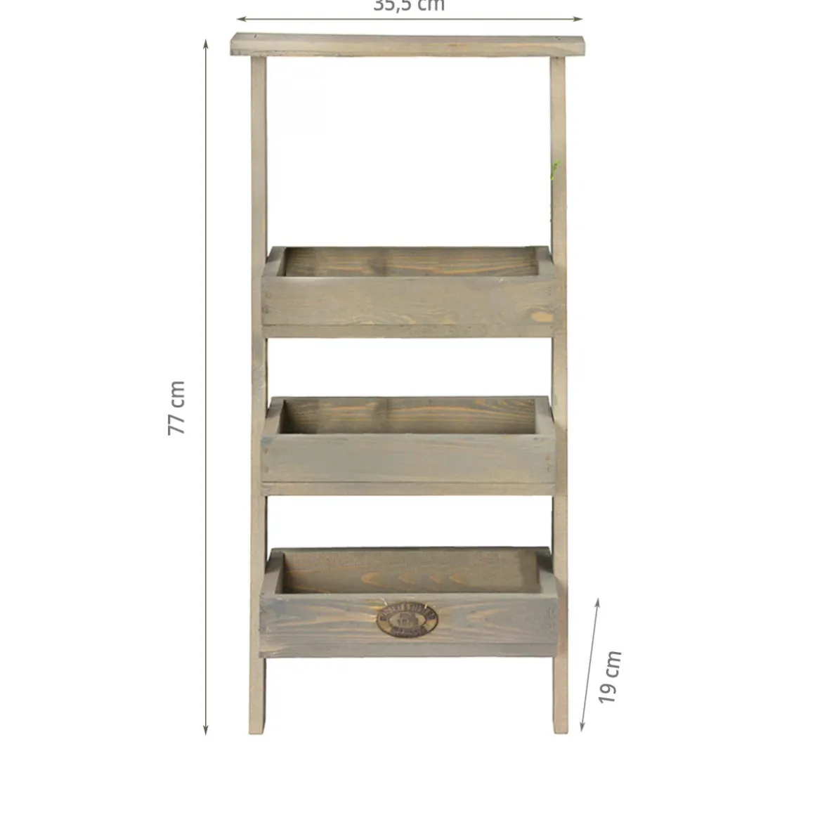 Etagère à plantes échelle