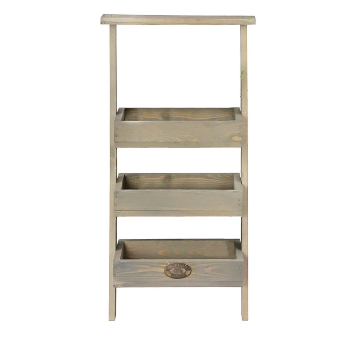 Etagère à plantes échelle