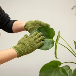 Gants de nettoyage pour feuilles de plantes