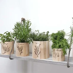 3 pots à crayons ronds en bois