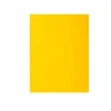 100 sous-chemises papier