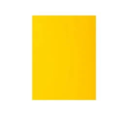 100 sous-chemises papier