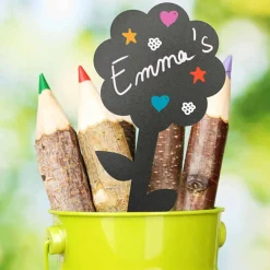 5 étiquettes ardoise pour plantes